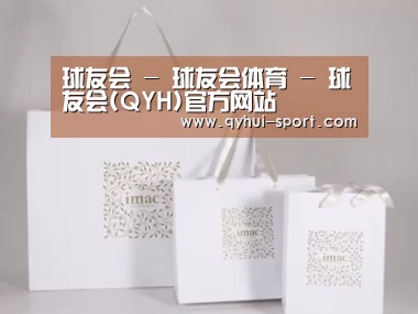 项目名称十一